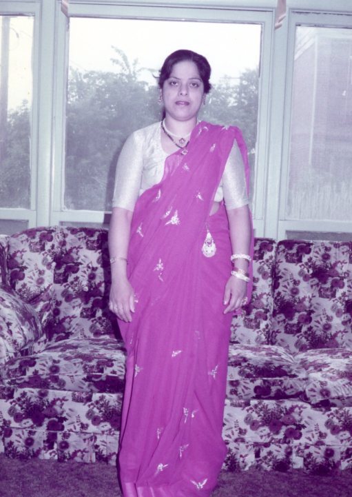 my-mothers-pink-sari